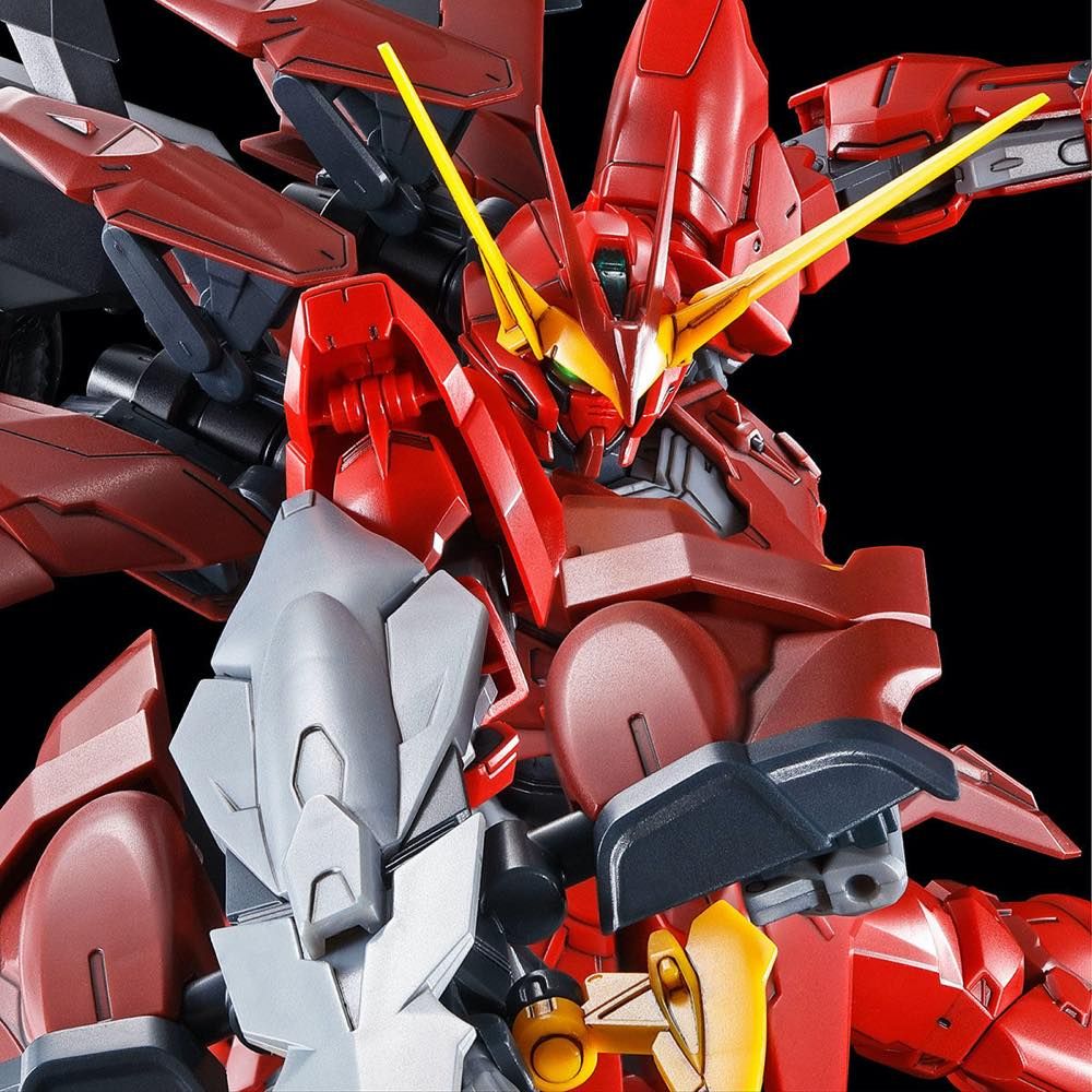 Gundam Mad Gundam Models 1/100 MG ZGMFX12A Testament Gundam