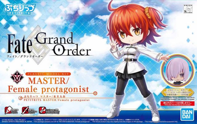 Petitrits Master Female Protagonist (Fate Grand Order) 