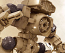 1/144 30MM Option Parts Set 18 (Arm Unit / Leg Unit 2)