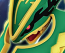 Pokemon Plamo No.61 Mega Rayquaza 