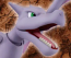 Pokemon Plamo Collection Fossil Pokemon Series Aerodactyl