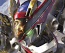 HG Ryuoumaru (Mashin Hero Wataru) 