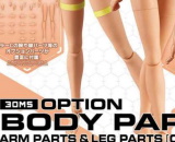 30MS Optional Body Parts Arm and Leg Parts (Colour C)