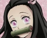 Kamado Nezuko (Demon Slayer: Kimetsu no Yaiba)